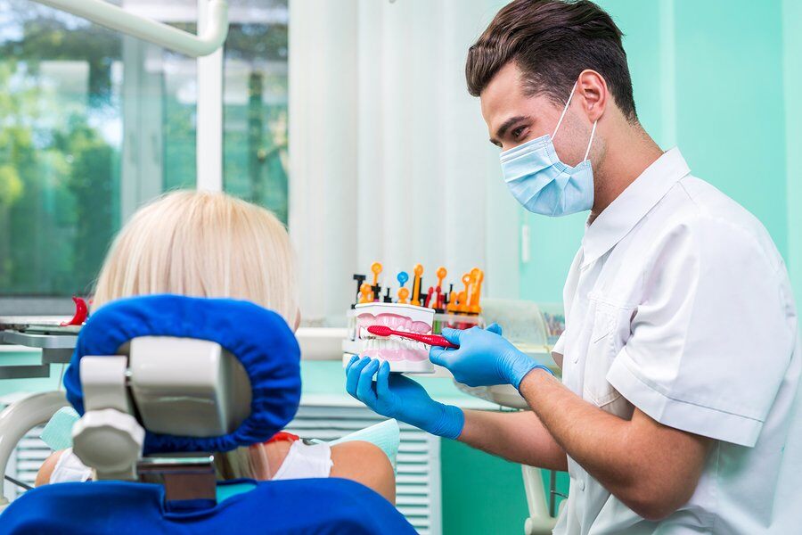 Understanding the Mouth's Anatomy